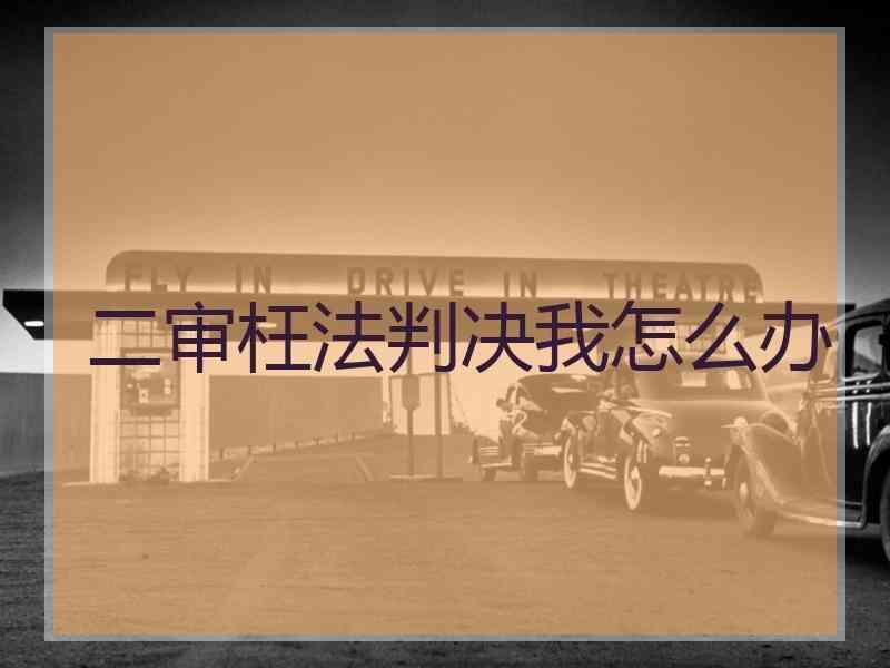二审枉法判决我怎么办