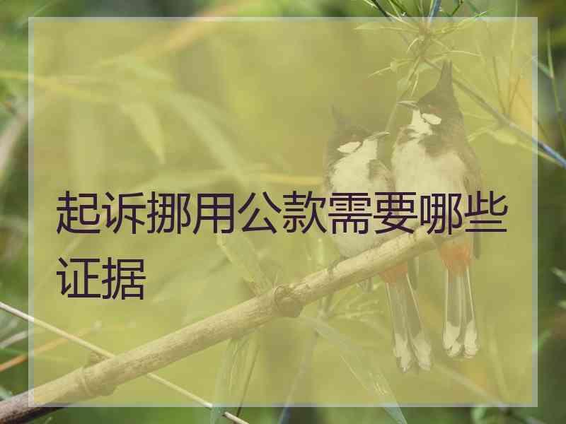 起诉挪用公款需要哪些证据