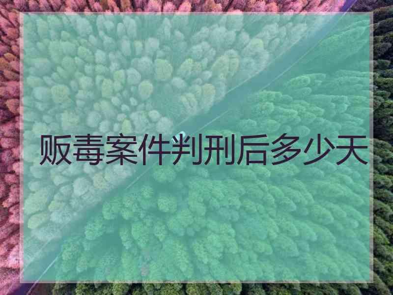 贩毒案件判刑后多少天