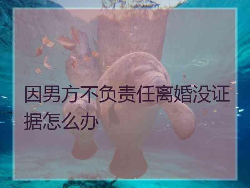 因男方不负责任离婚没证据怎么办