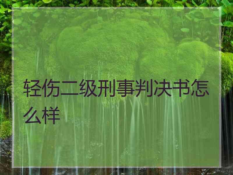 轻伤二级刑事判决书怎么样