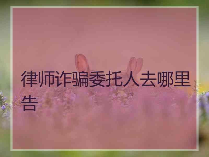 律师诈骗委托人去哪里告