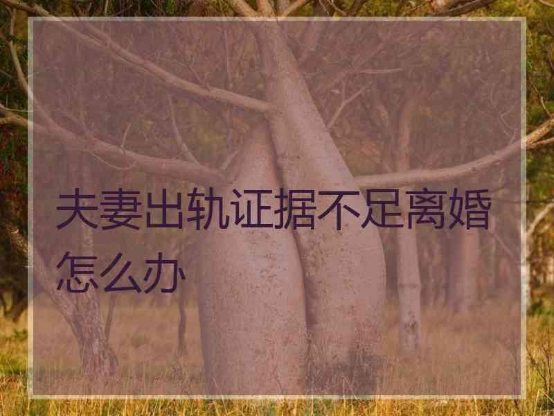 夫妻出轨证据不足离婚怎么办