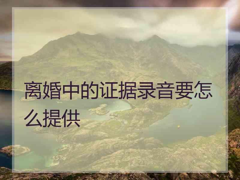 离婚中的证据录音要怎么提供