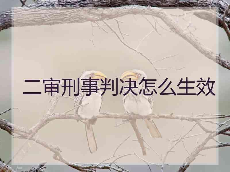 二审刑事判决怎么生效