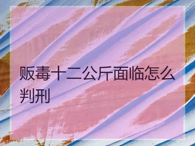 贩毒十二公斤面临怎么判刑