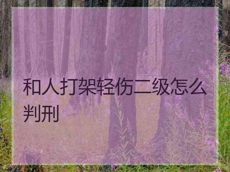 和人打架轻伤二级怎么判刑