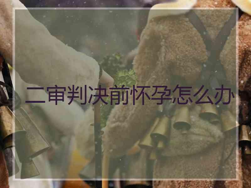 二审判决前怀孕怎么办