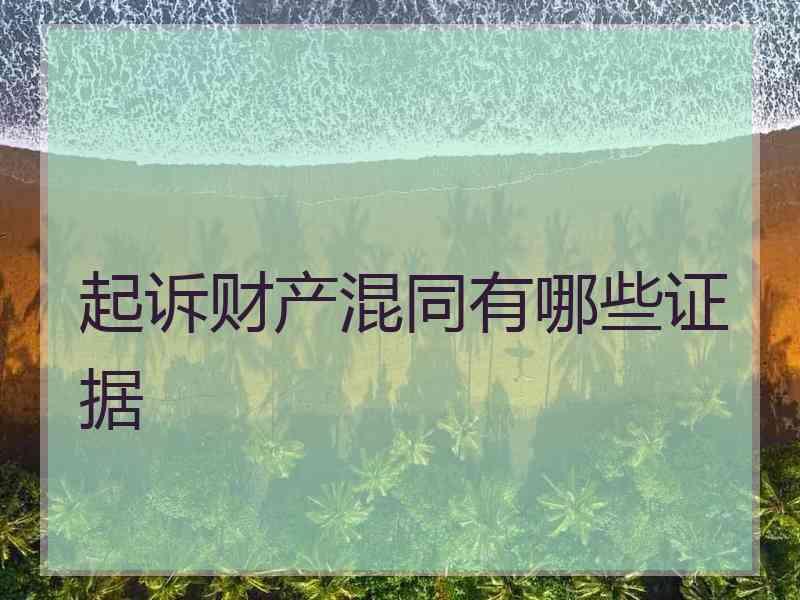 起诉财产混同有哪些证据