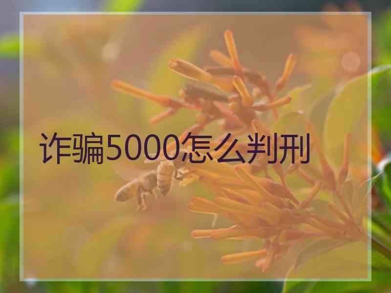 诈骗5000怎么判刑