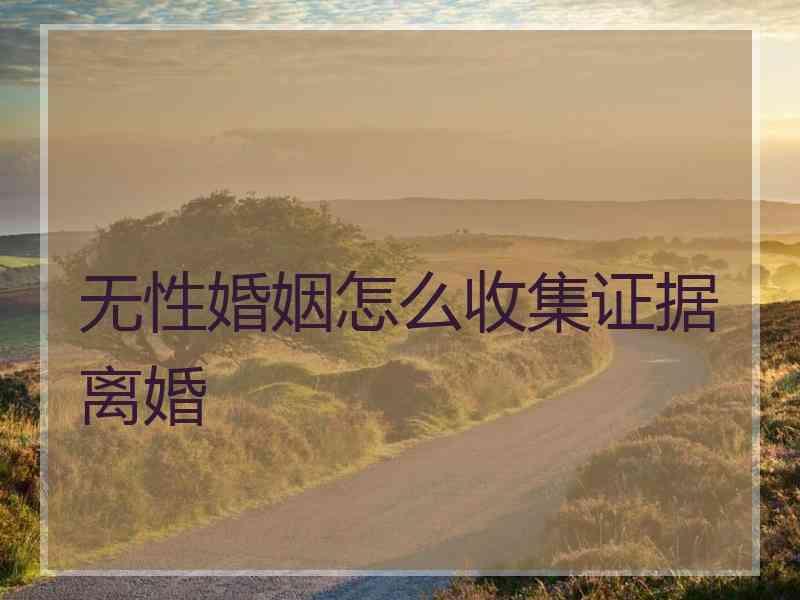 无性婚姻怎么收集证据离婚