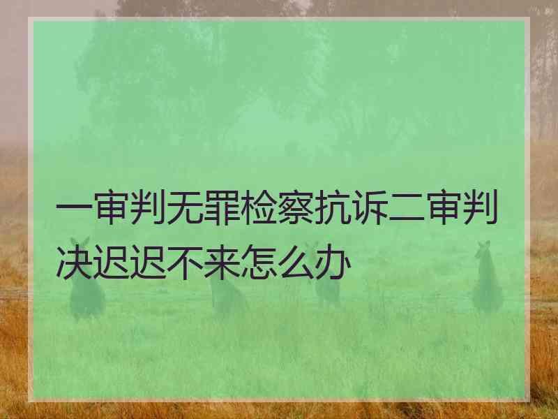 一审判无罪检察抗诉二审判决迟迟不来怎么办