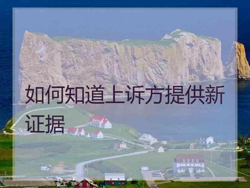 如何知道上诉方提供新证据