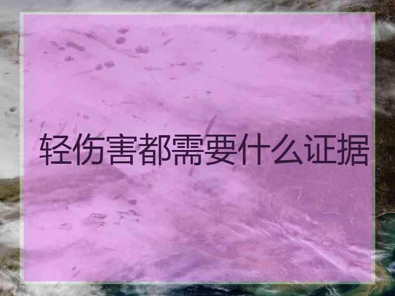 轻伤害都需要什么证据