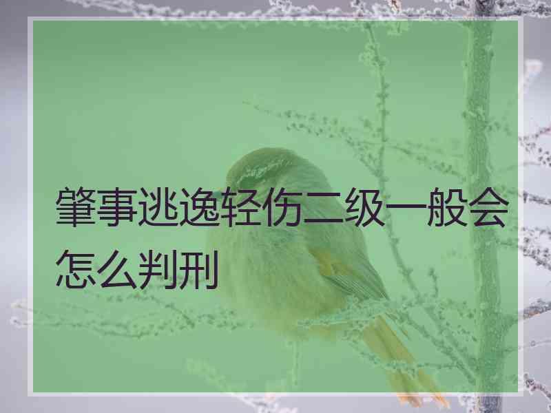 肇事逃逸轻伤二级一般会怎么判刑