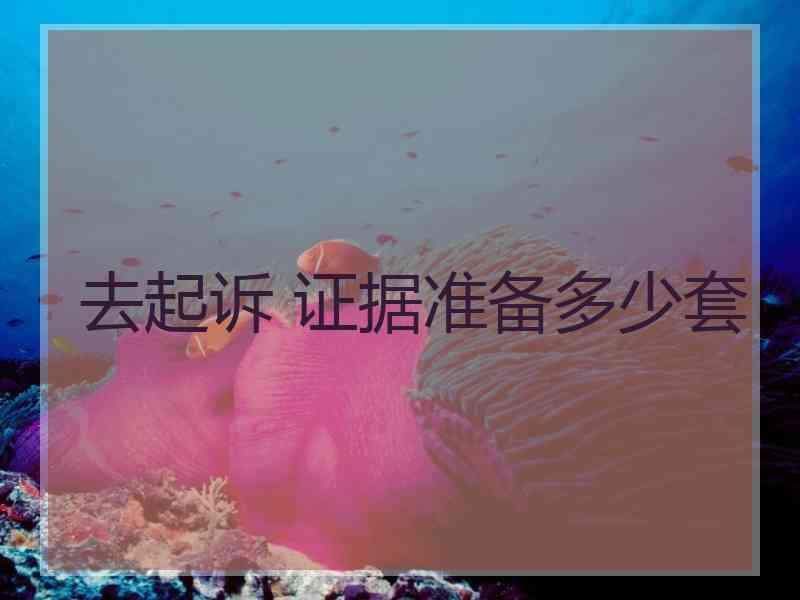 去起诉 证据准备多少套