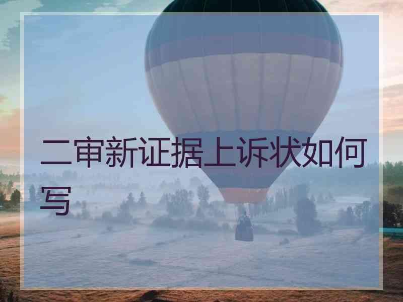 二审新证据上诉状如何写