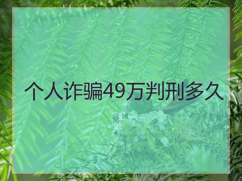 个人诈骗49万判刑多久