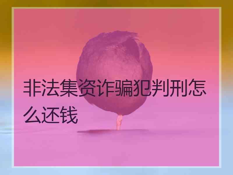 非法集资诈骗犯判刑怎么还钱