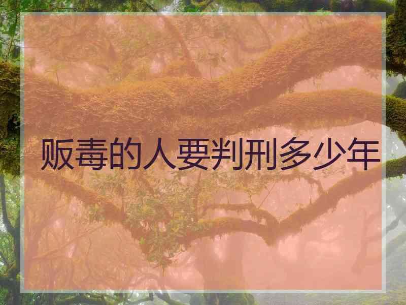 贩毒的人要判刑多少年