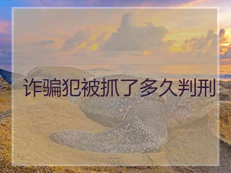 诈骗犯被抓了多久判刑
