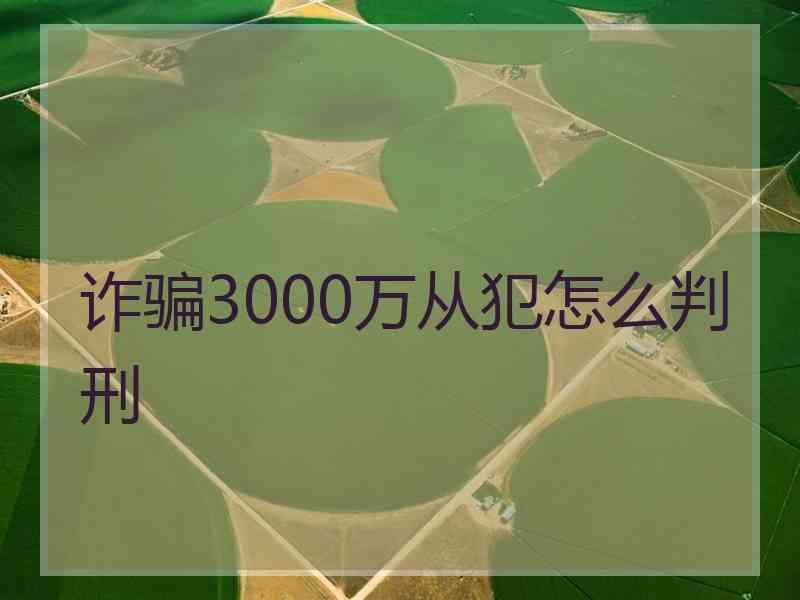 诈骗3000万从犯怎么判刑