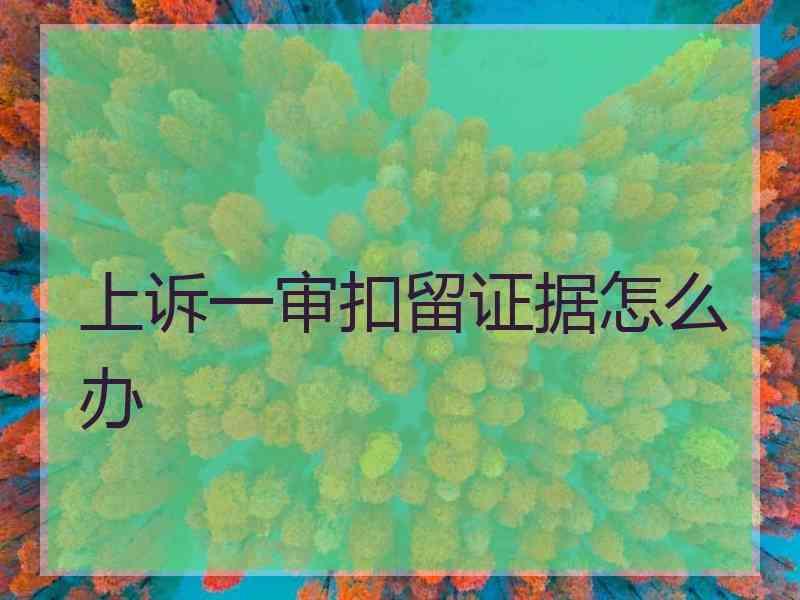 上诉一审扣留证据怎么办