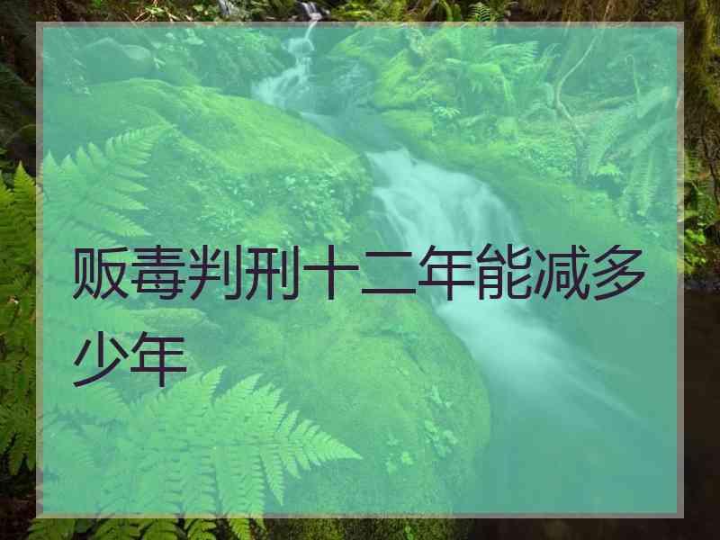 贩毒判刑十二年能减多少年