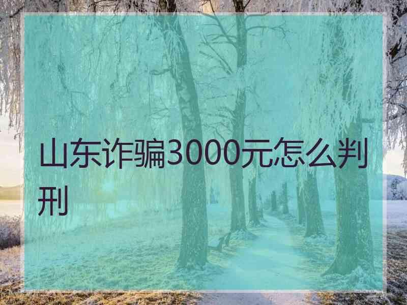 山东诈骗3000元怎么判刑