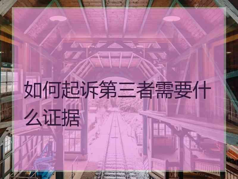 如何起诉第三者需要什么证据