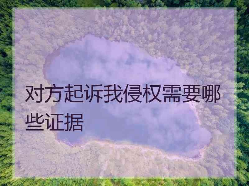 对方起诉我侵权需要哪些证据