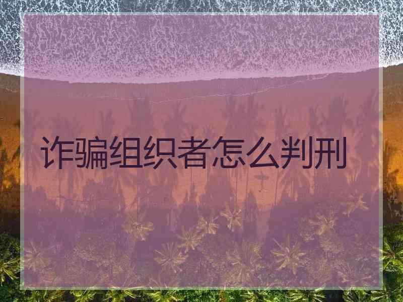 诈骗组织者怎么判刑