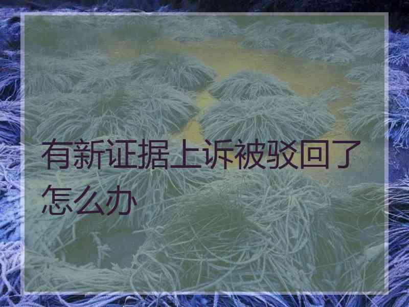 有新证据上诉被驳回了怎么办