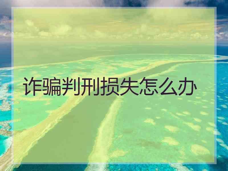 诈骗判刑损失怎么办