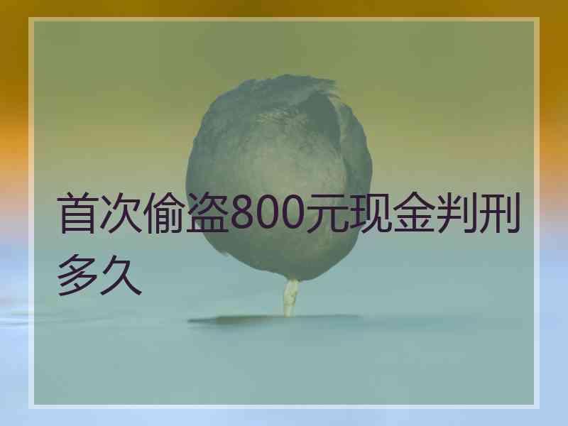 首次偷盗800元现金判刑多久