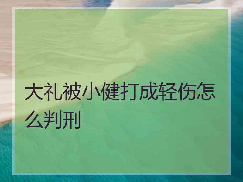 大礼被小健打成轻伤怎么判刑