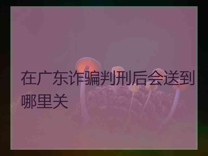 在广东诈骗判刑后会送到哪里关