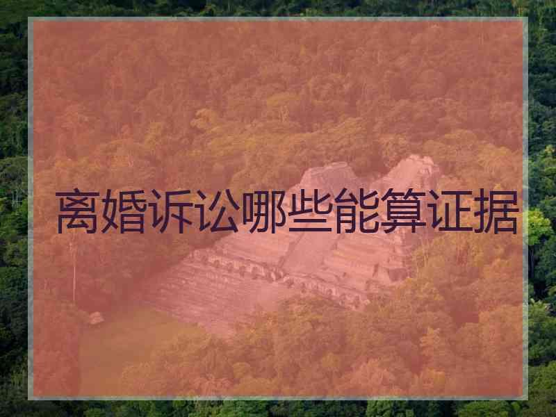 离婚诉讼哪些能算证据
