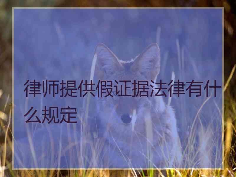 律师提供假证据法律有什么规定