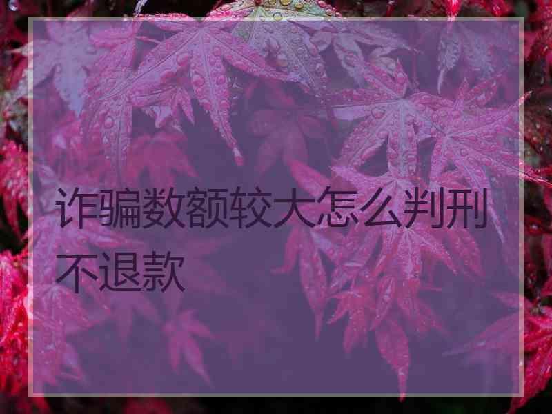 诈骗数额较大怎么判刑不退款