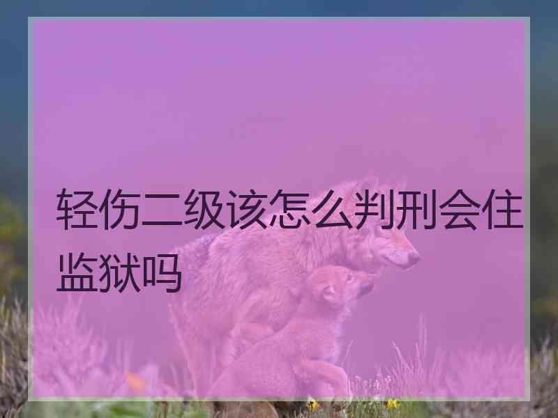 轻伤二级该怎么判刑会住监狱吗