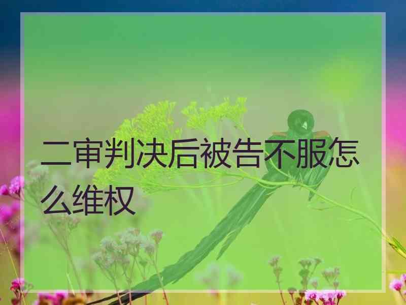 二审判决后被告不服怎么维权