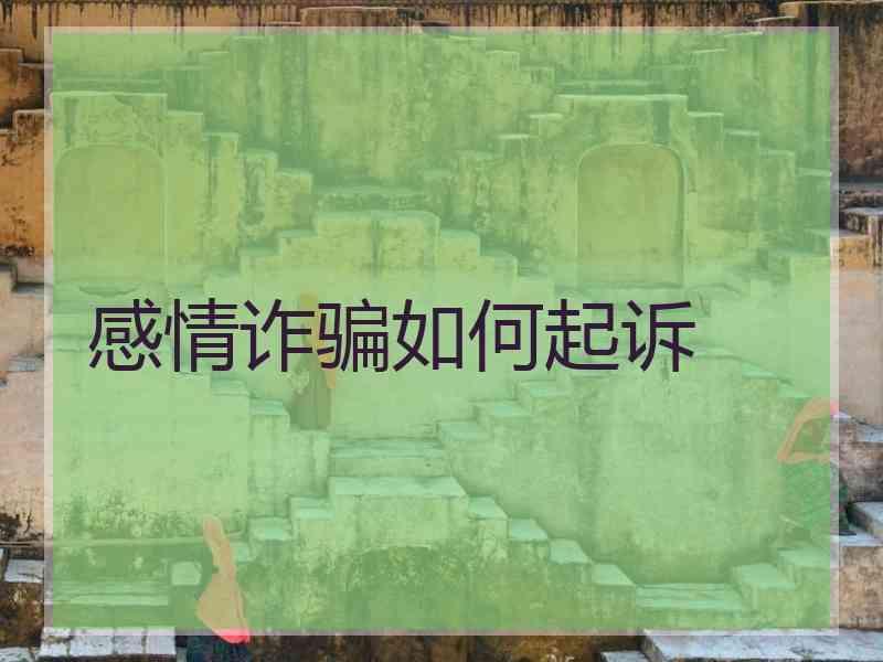 感情诈骗如何起诉