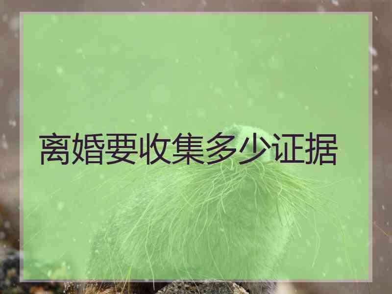 离婚要收集多少证据