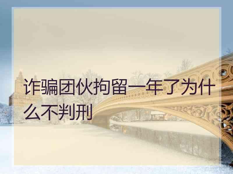 诈骗团伙拘留一年了为什么不判刑