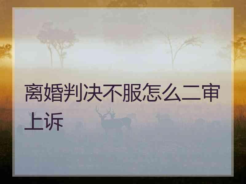离婚判决不服怎么二审上诉