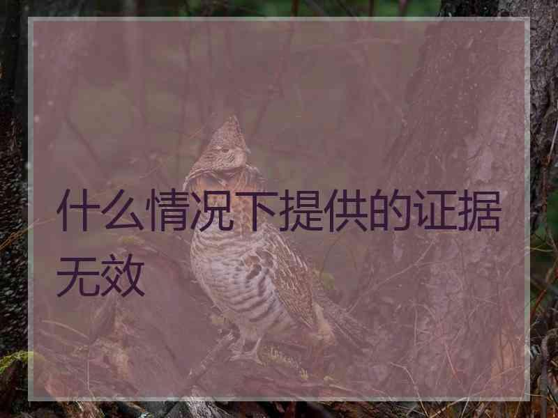 什么情况下提供的证据无效