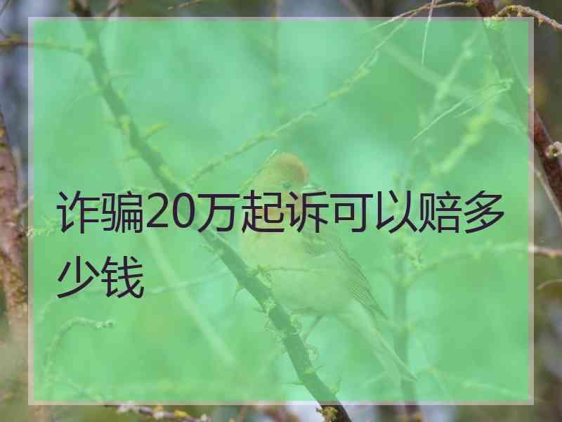 诈骗20万起诉可以赔多少钱