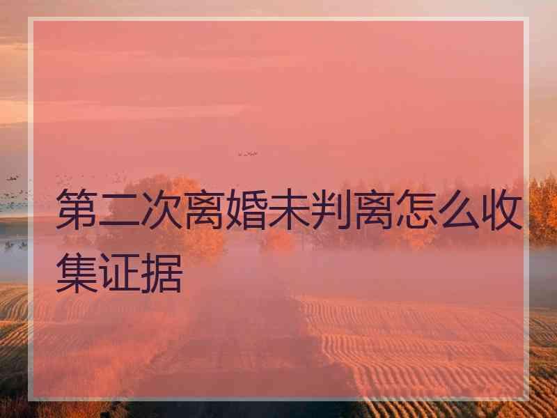 第二次离婚未判离怎么收集证据