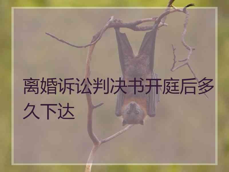 离婚诉讼判决书开庭后多久下达